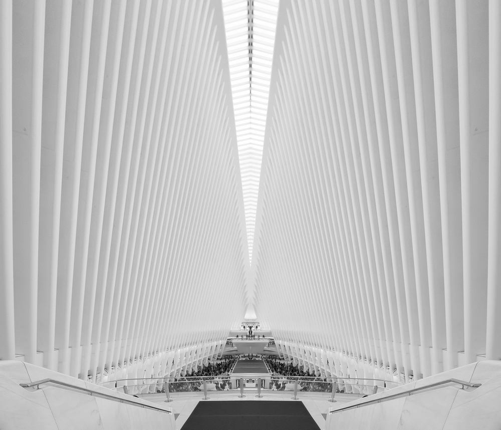 The Oculus von Ibrahim Nabeel