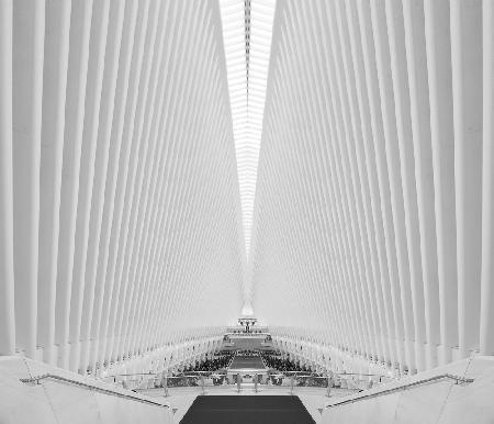 The Oculus