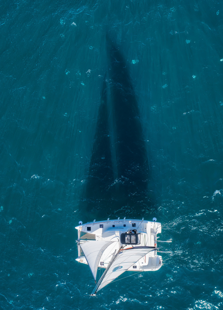 Sail shadow von Ido Meirovich