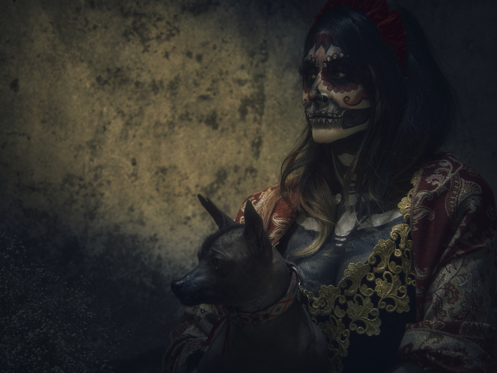 Catrina and the sacred dog von Ignacio Arcas