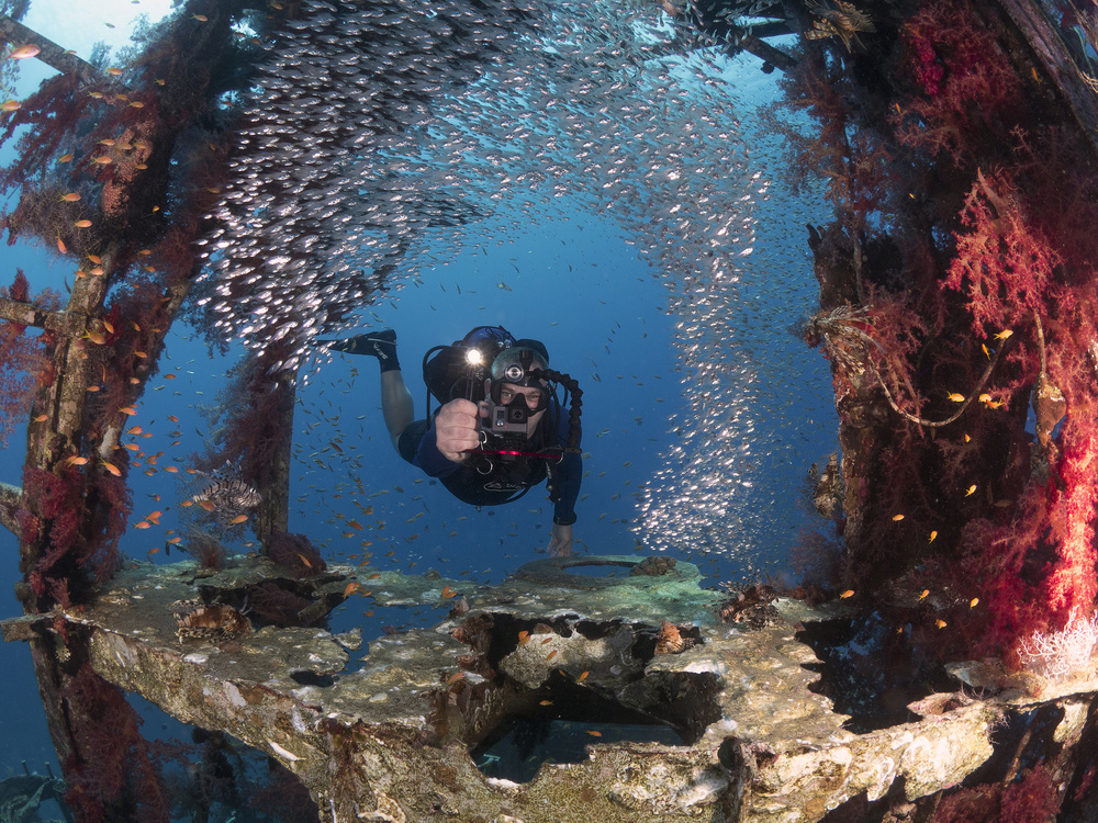 Diver and Pygmy Sweepers von Ilan Ben Tov