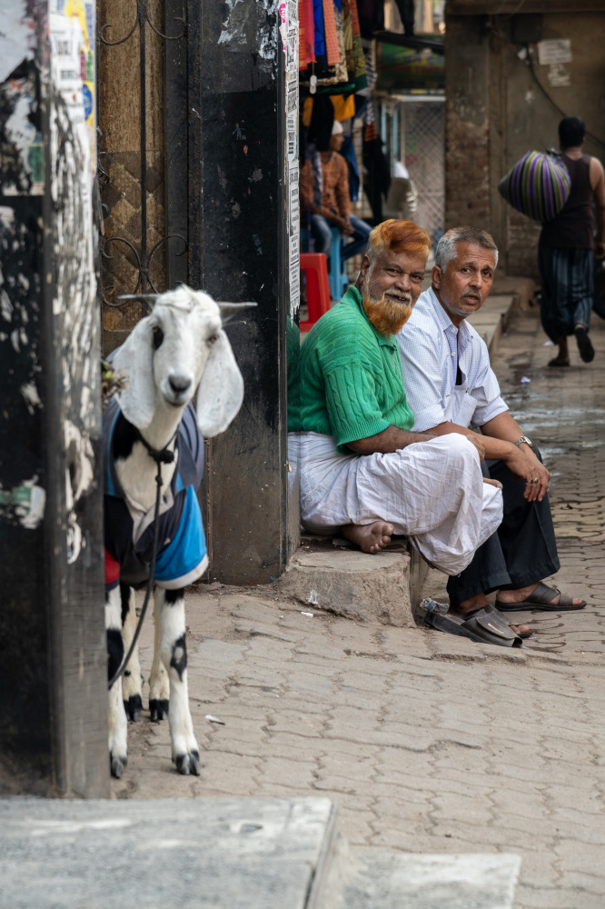 funny Street scenes von Ilana Lam