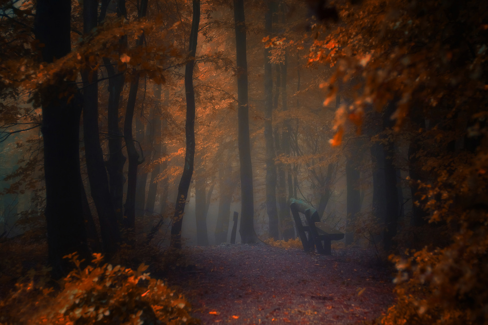 Deep Loneliness von Ildiko Neer