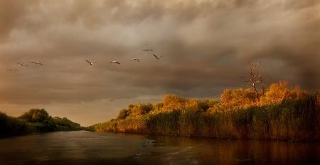 Danube Delta