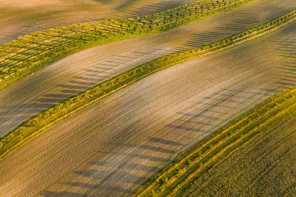 late summer von Ilona Rosenkrancová