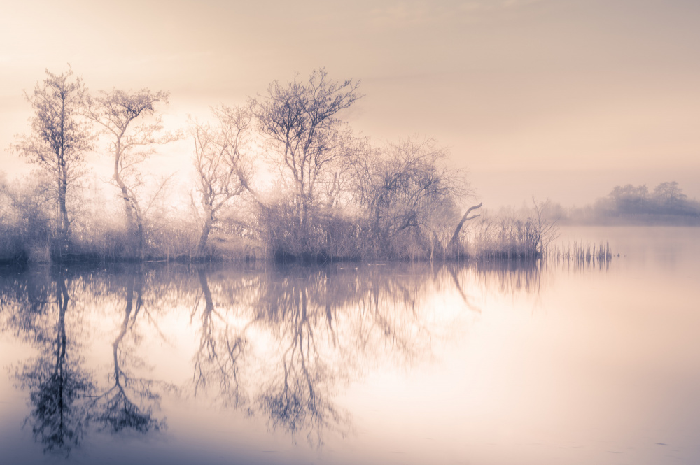 Cold morning at the pond von Ina Bouhuijzen