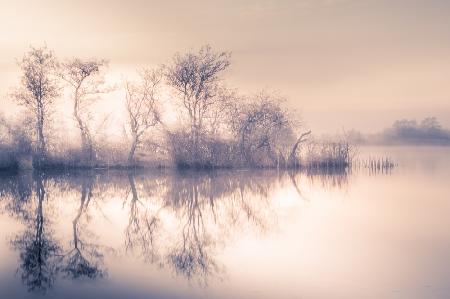 Cold morning at the pond