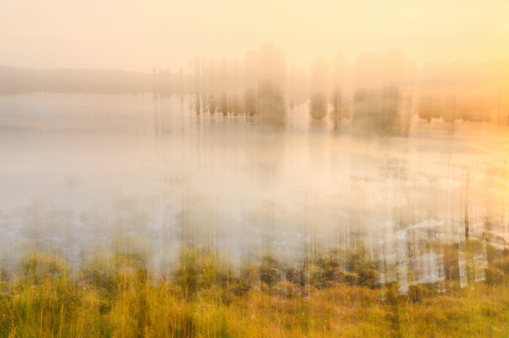 Foggy morning von Ina Bouhuijzen