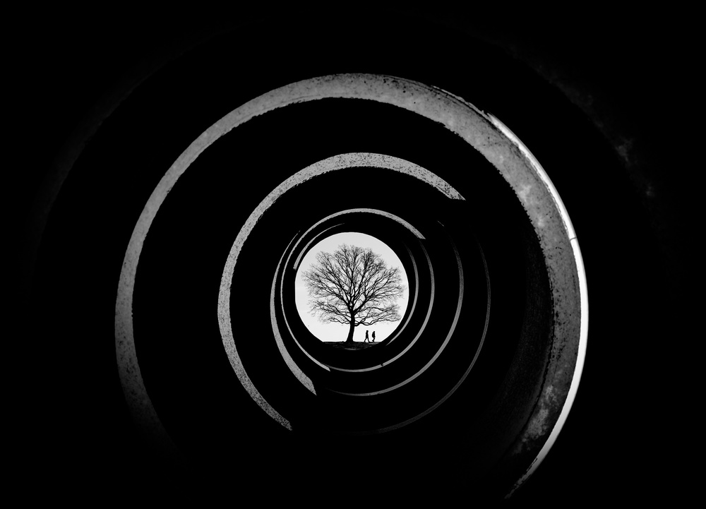 A tree in the center. von Inge Schuster