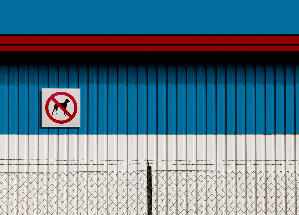 Dogs not allowed von Inge Schuster