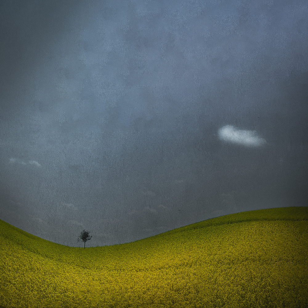 Minimalist landscape von Inge Schuster