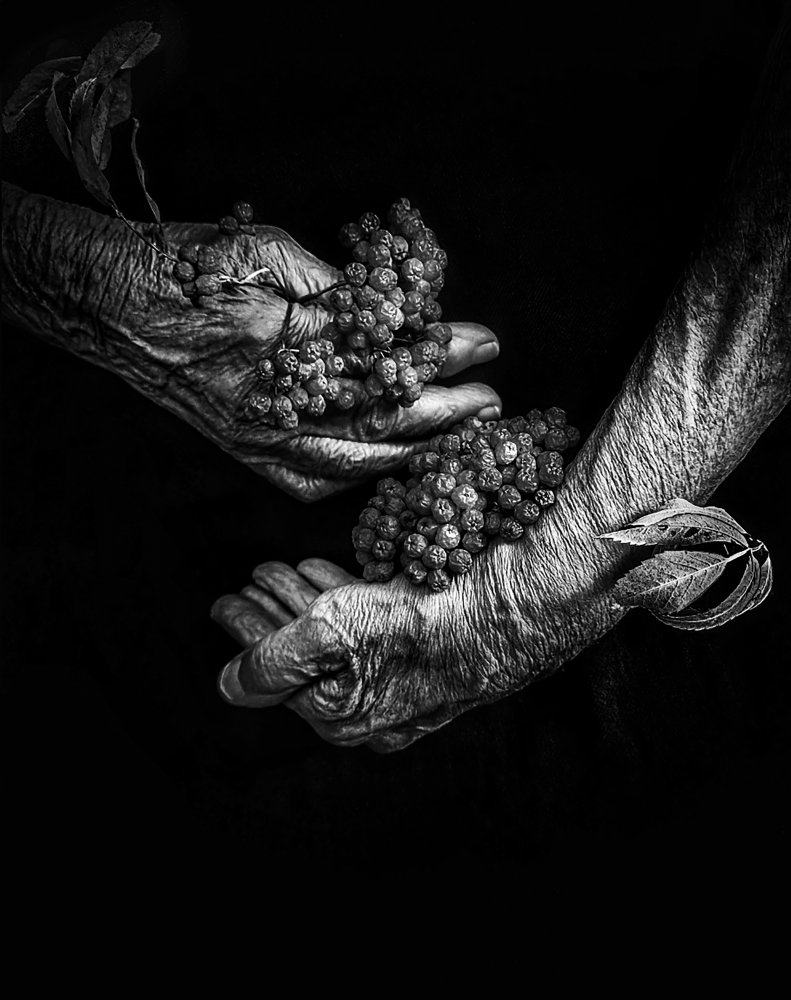 Autumn harvest von Ingrida Urbonavičienė