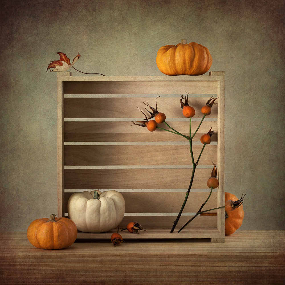 Autumn Box von Inna Karpova