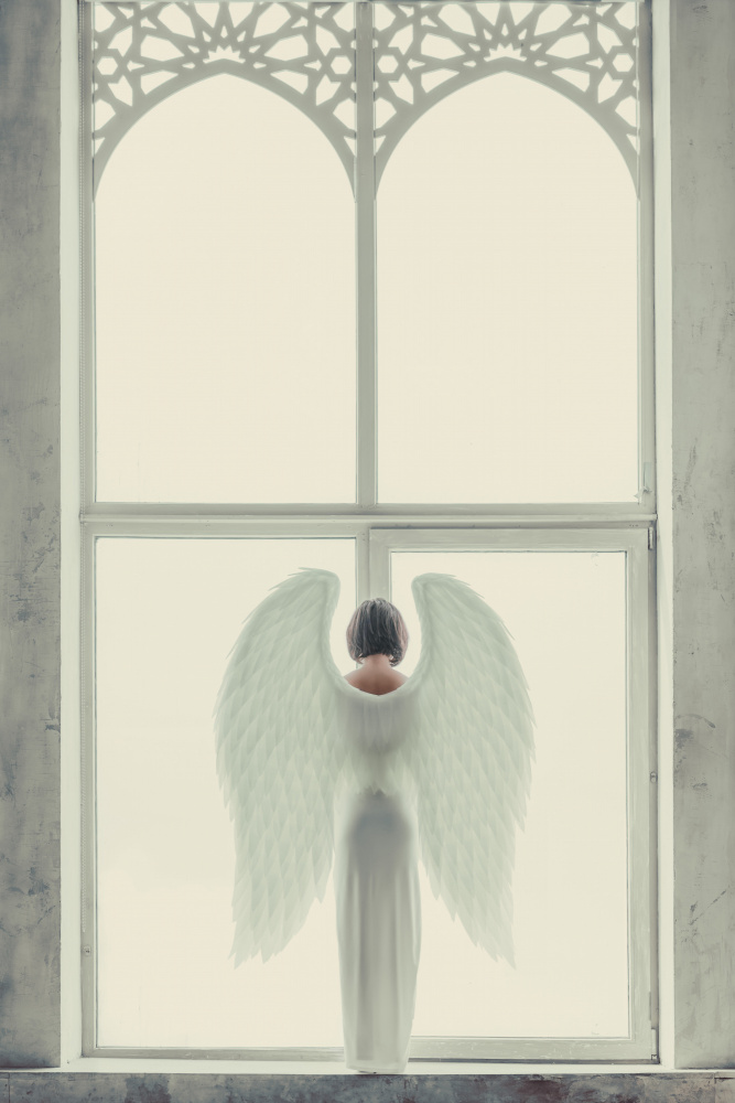 Windows of Angel von InTheMoment