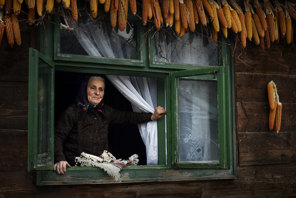 A look from the window von Irene Perovich