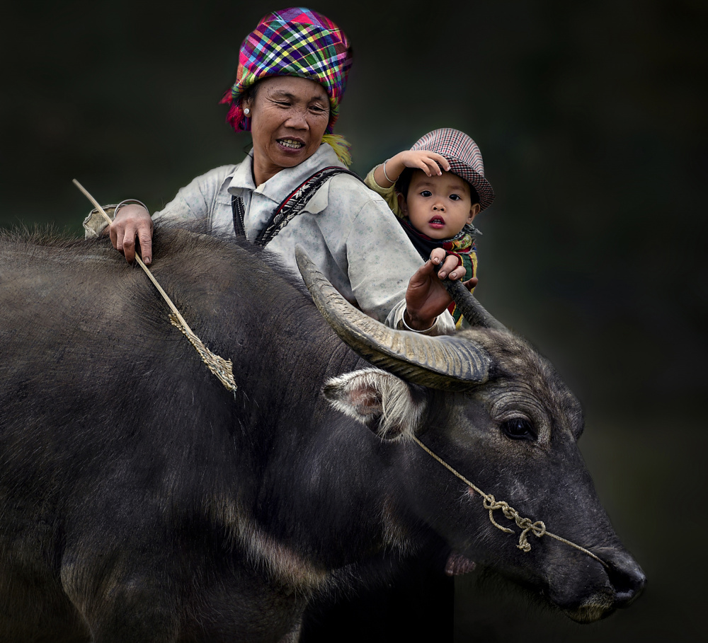 Taking care of buffalo von Irene Perovich