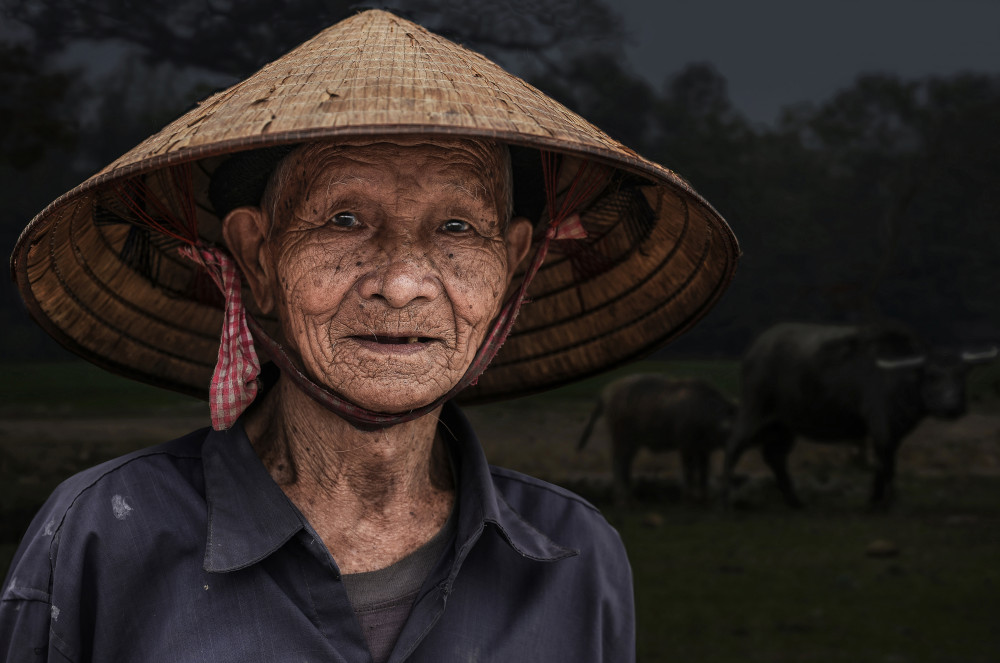 Vietnamese farmer von Irene Perovich