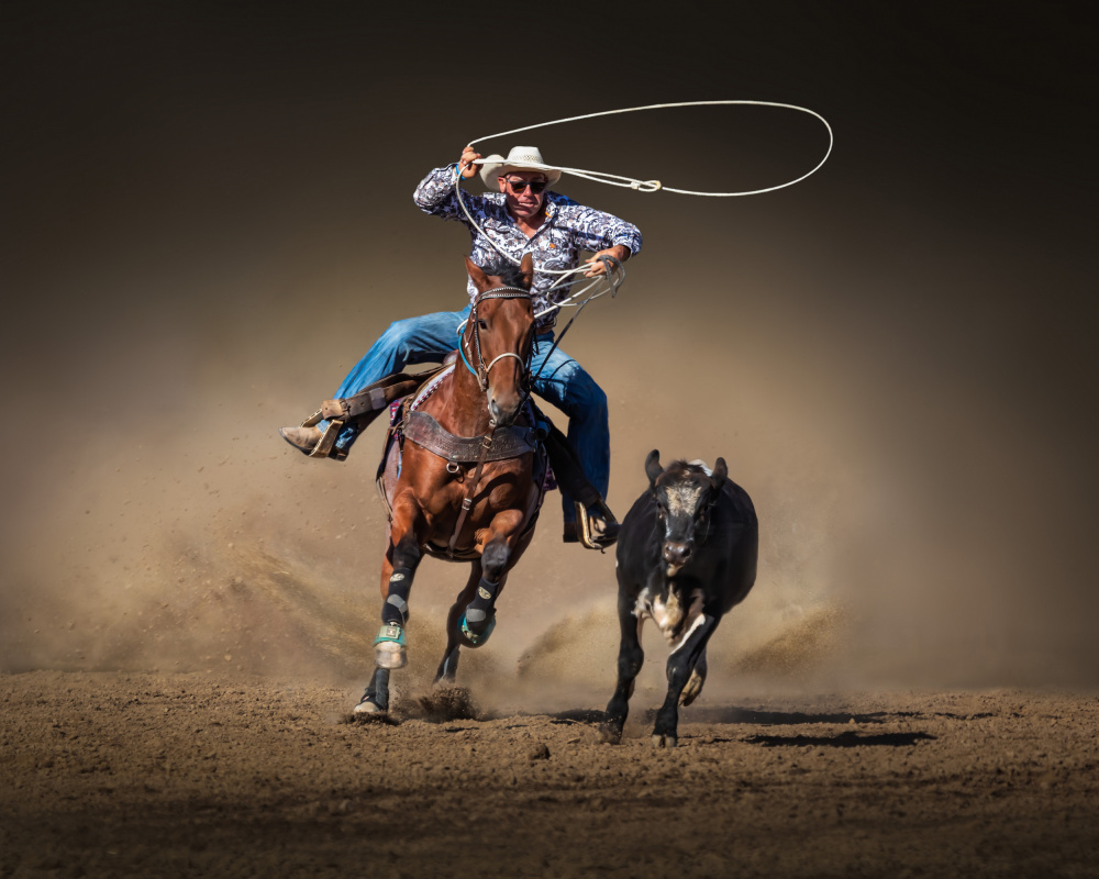 Cattle Roping von Irene Wu