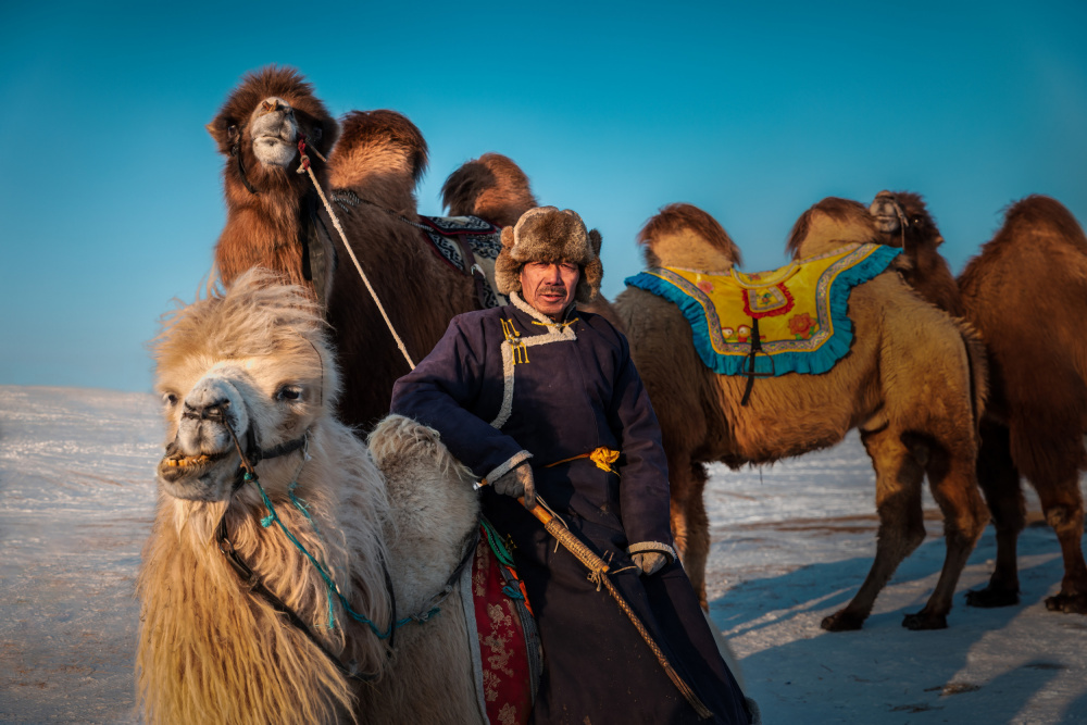 Farmer and His Camel von Irene Wu