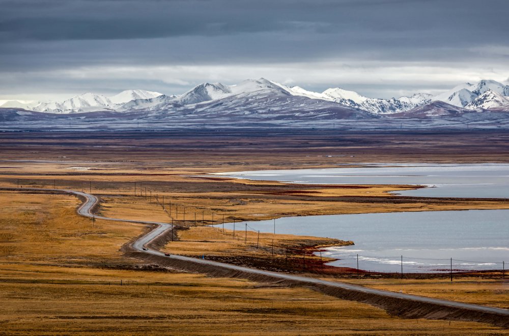 The Twisty Road von Irene Wu