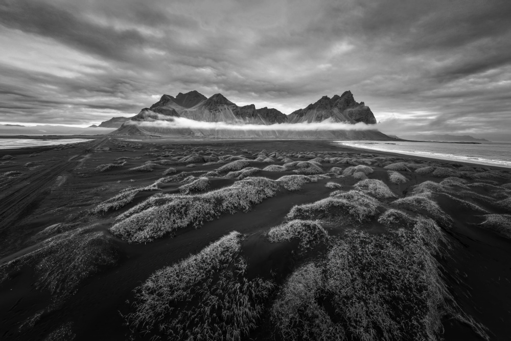 Bat Mountain von Irene Wu