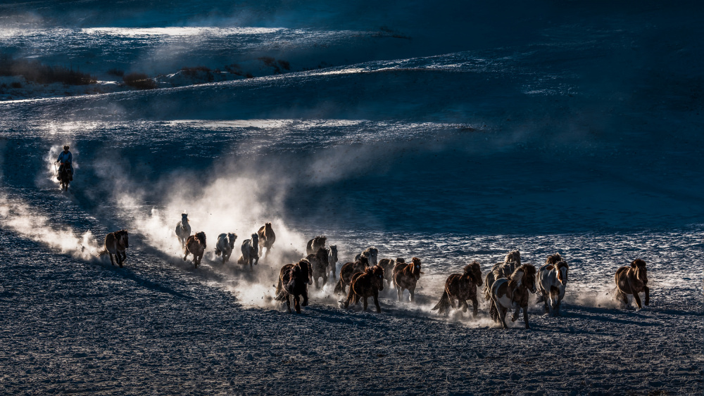 Galloping Horses von Irene Wu