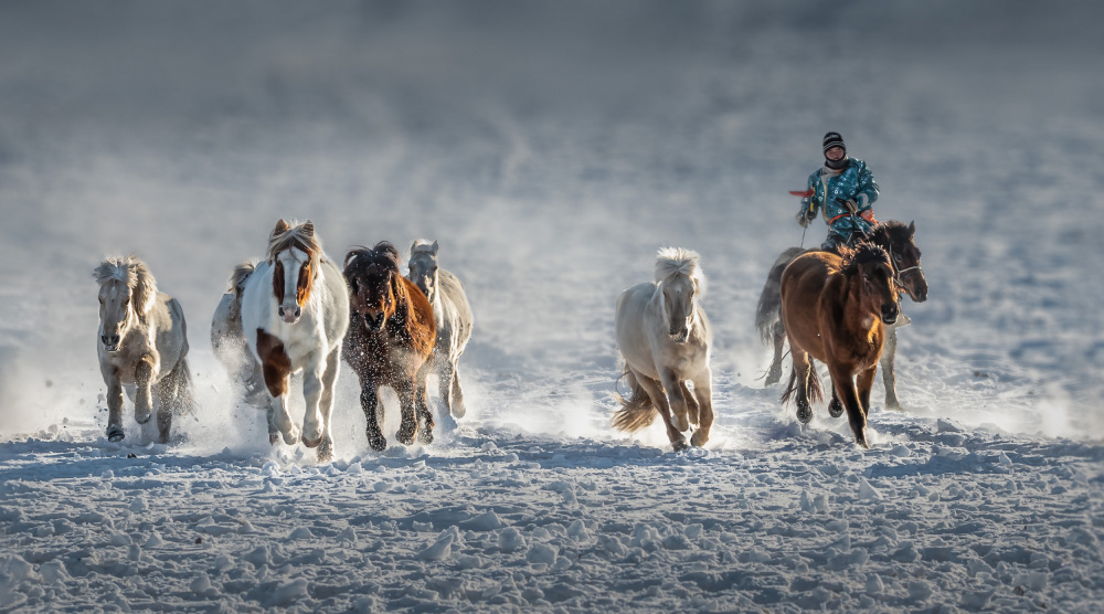 Galloping Horses In Snowy Field von Irene Wu