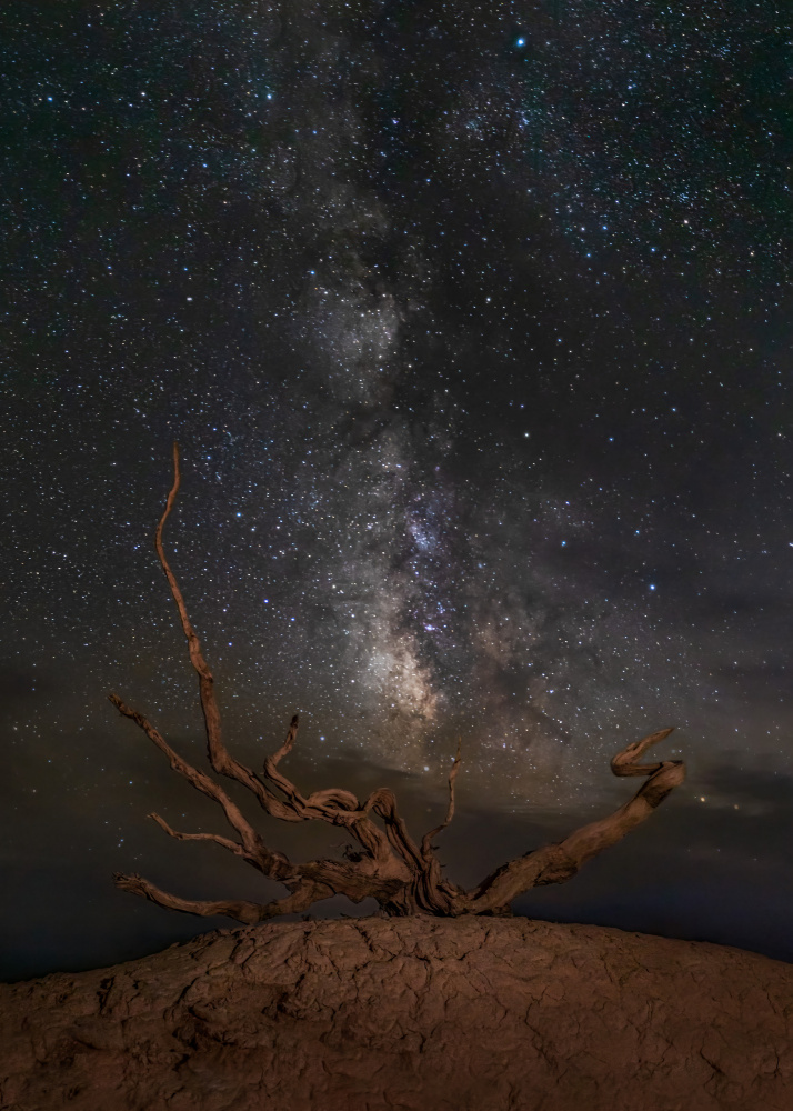 Gobi Desert Night von Irene Wu