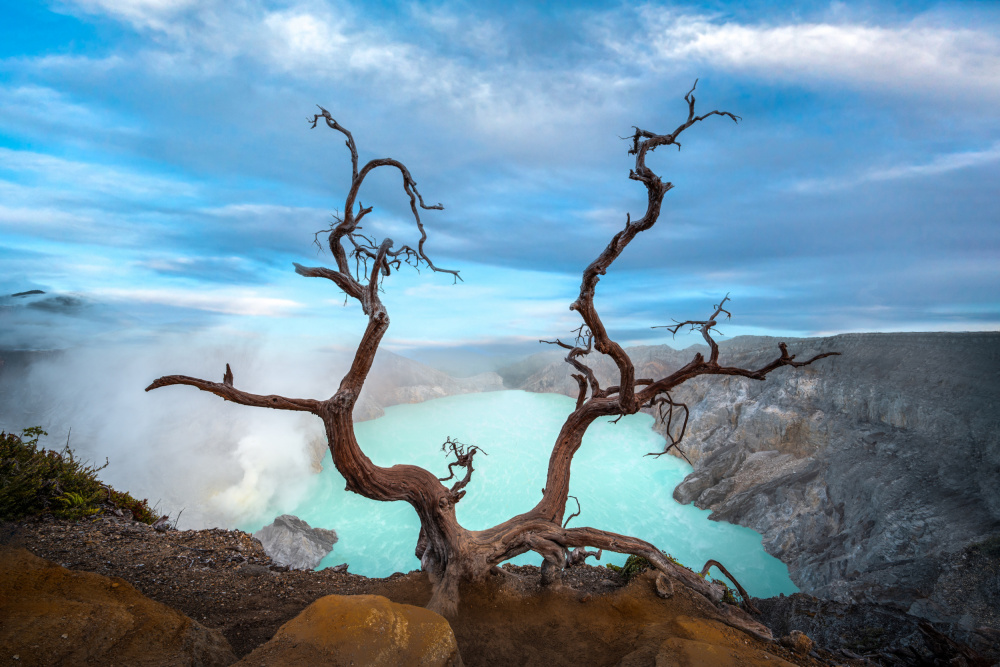 Gunung Bromo von Irene Wu