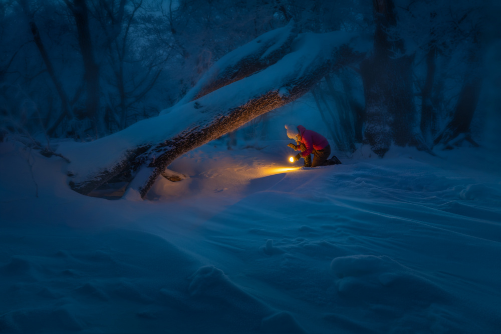 Treasure Hunt in The Snow von Irene Wu