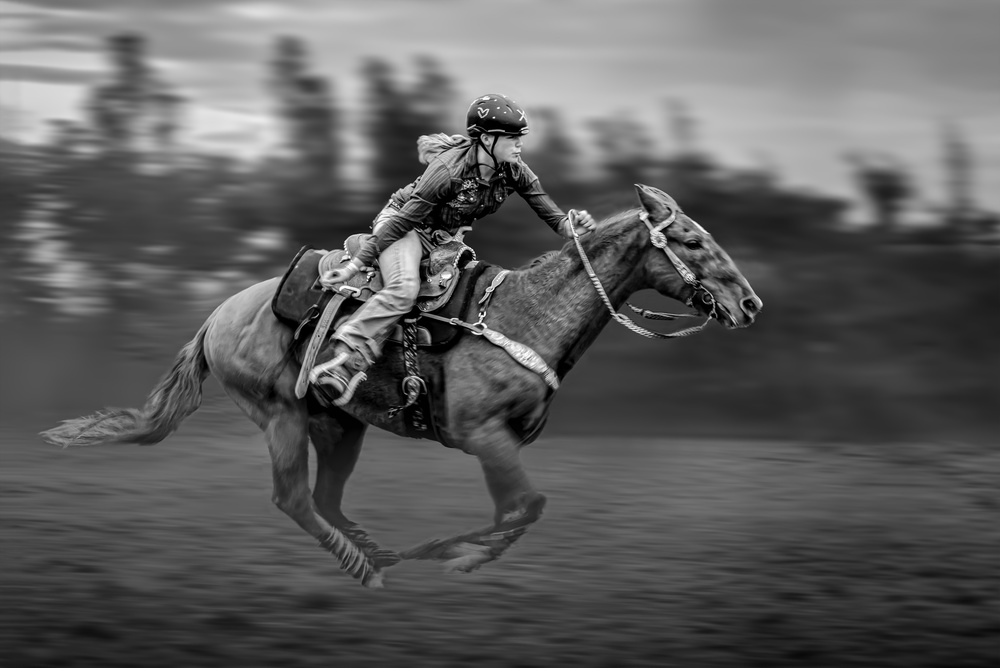 Spur On the Flying Horse von Irene Wu