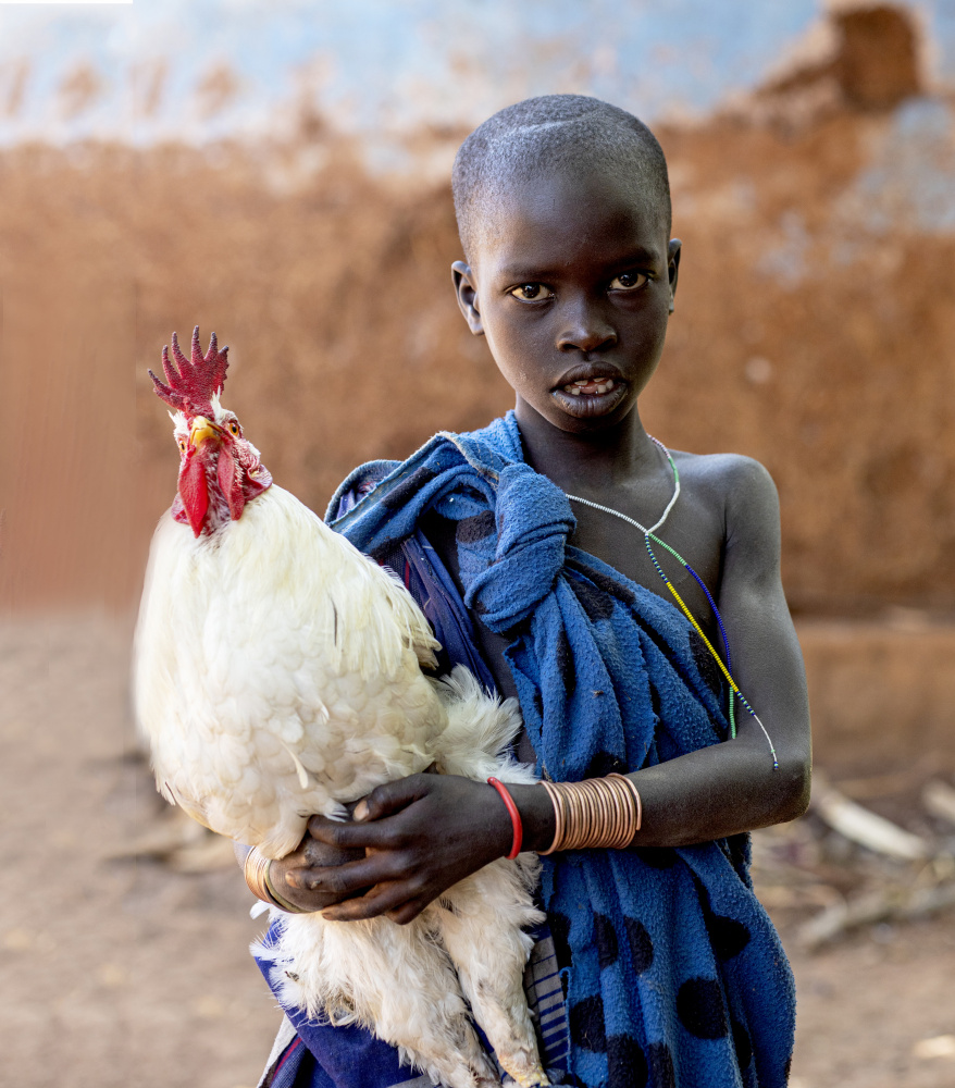 The Boy with the Chicken von Iris Wiener