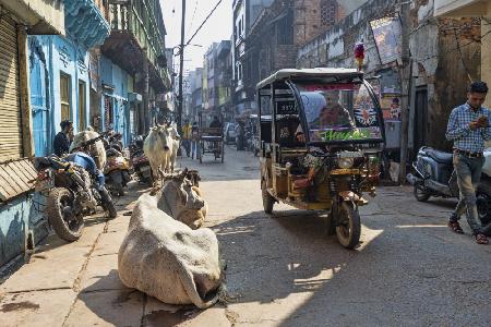 street life in Mathura