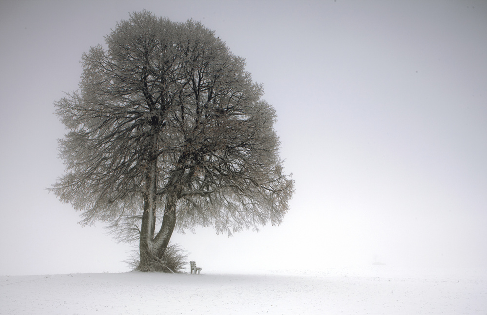 Winter tree von Irma Warth