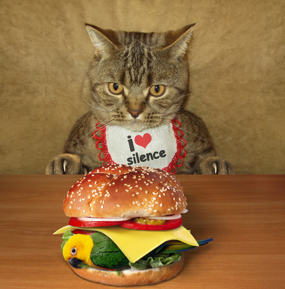 Cat and birdburger.... von Iryna Kuznetsova (Iridi)