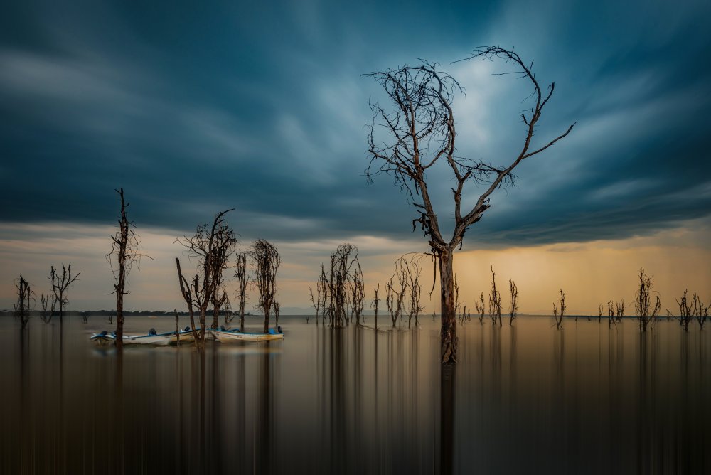 The death valley von Isam Telhami