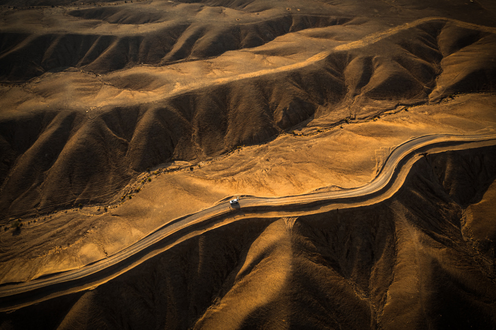 Lines from Nature von Isam Telhami