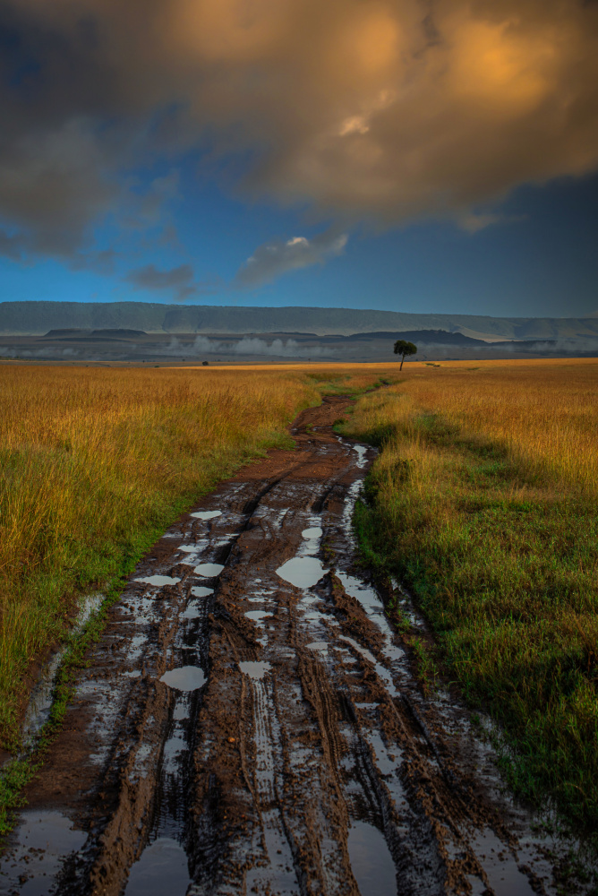 keep going even if it is a hard way von Isam Telhami