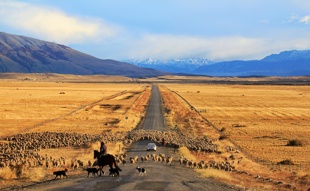 Traffic jam!! von Itamar Campos