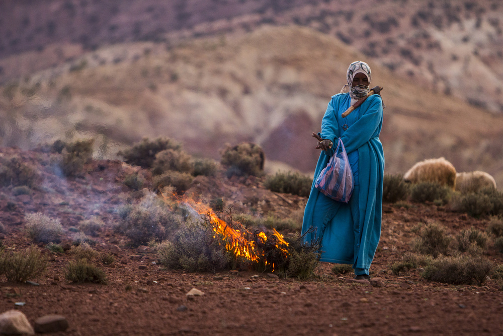 The burning bush von Itzik Elyahou