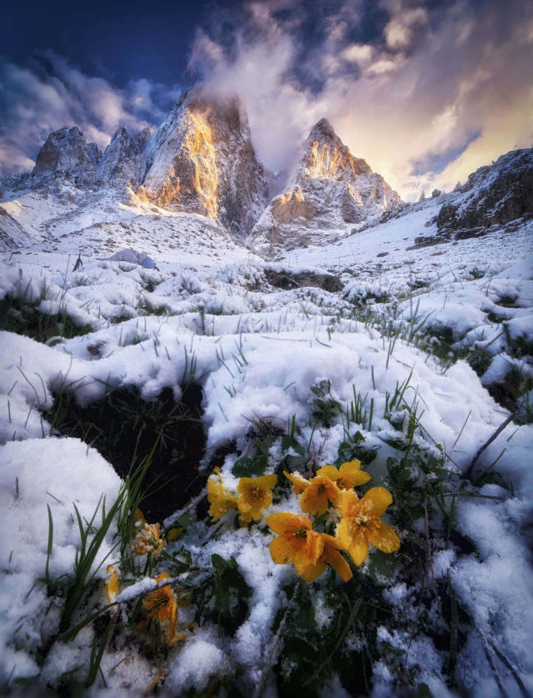 Early morning just after sunrise von Ivan A. Godovikov