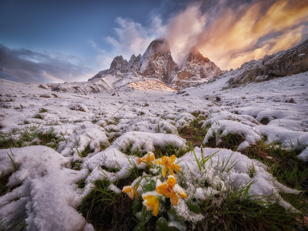 Frozen Sunrise von Ivan A. Godovikov