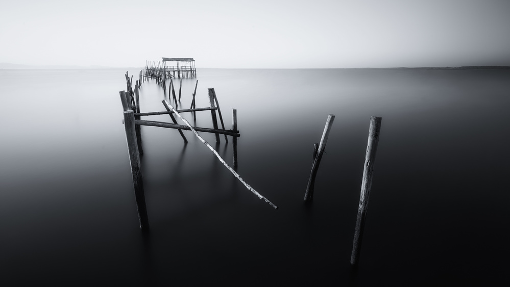 Carrasqueira in Black and White von Iván Ferrero