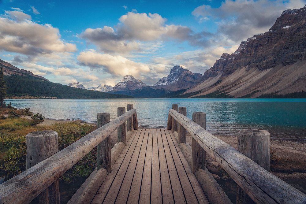 The Bridge von Iván Macía