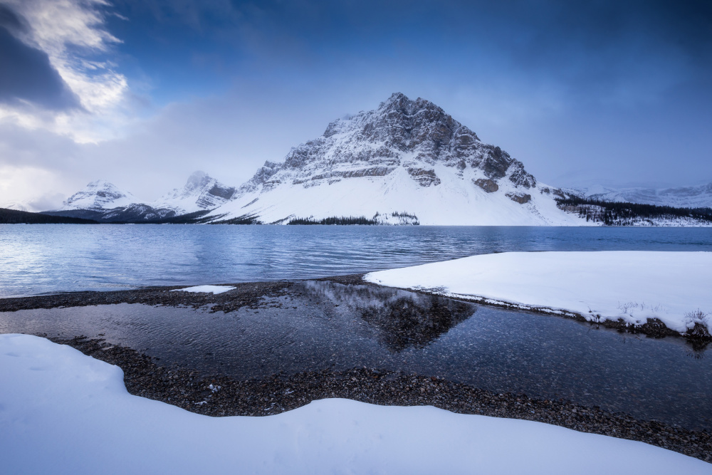 Snowy Bow von Iván Macía