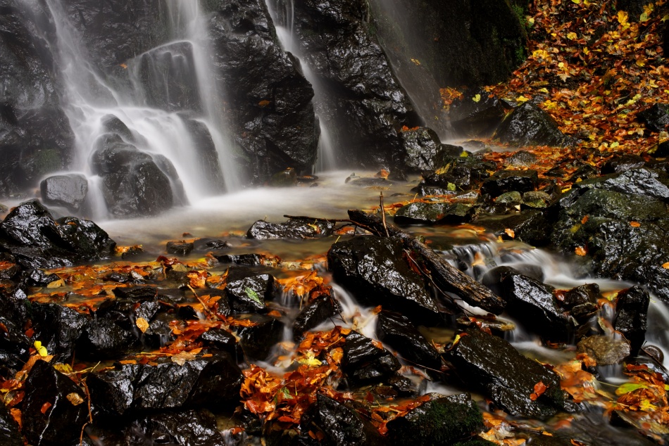 Glowing von Ivan Slosar