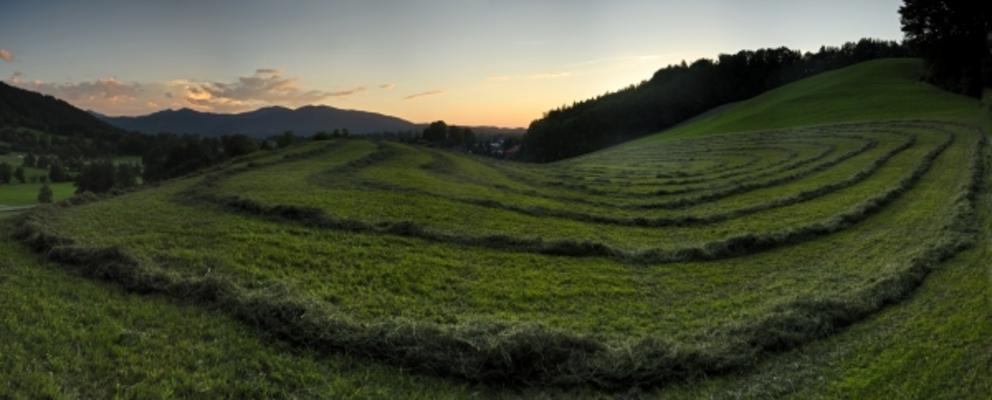 In Schwingungen von Ive Völker