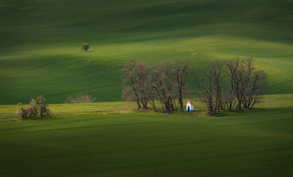 The Chapel of Saint Barborka, Moravian Tuscany von Ivo Mateju