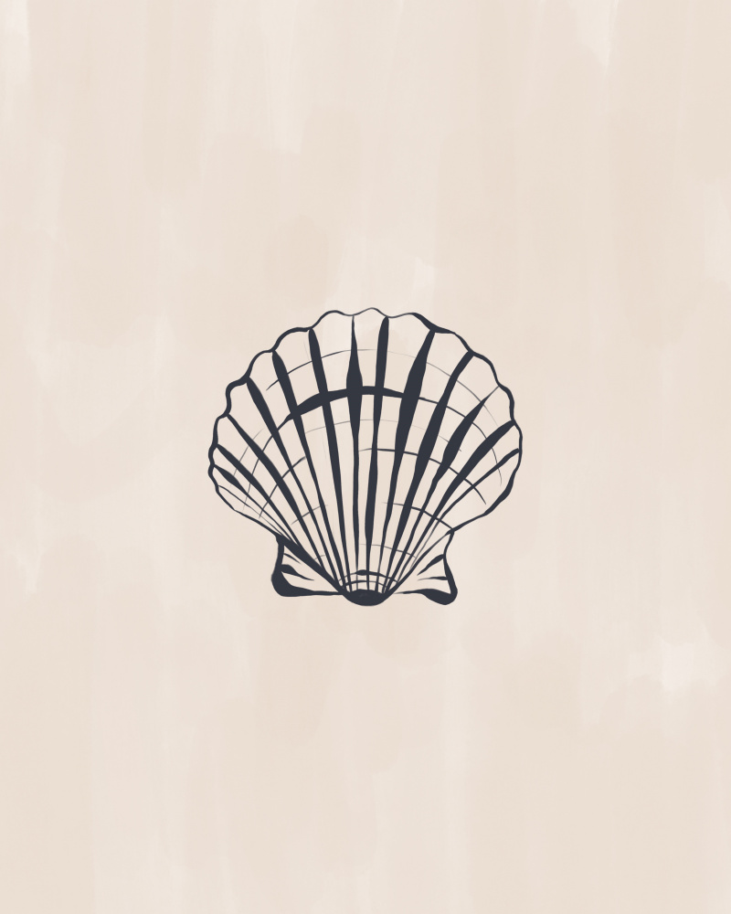 Seashell von Ivy Green Illustrations