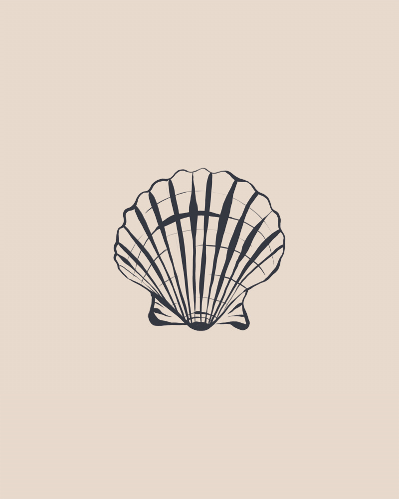 Seashell von Ivy Green Illustrations